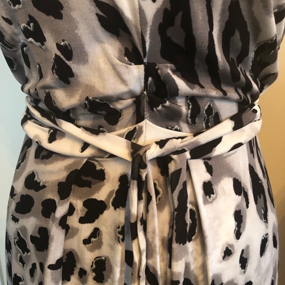 Animal Print Dress - Picture 3 of 8